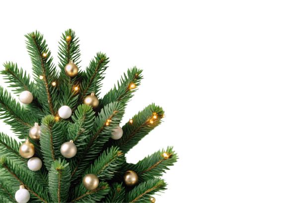 Christmas Tree Clipart PNG Design: Editorial Illustrations