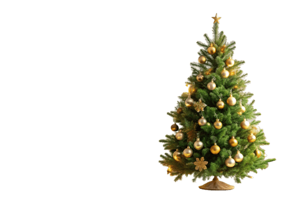 Christmas Tree, Gold Ball: Premium Illustrations