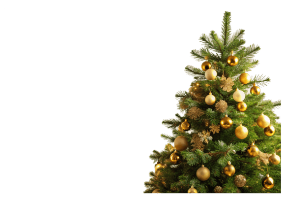 Reviewing Free Christmas Tree Clipart PNG Design Illustrations